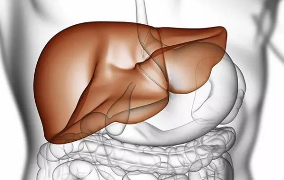 胃癌 乙肝  HBV感染和各种癌症风险之间的联系