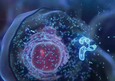 <b>泊马度胺的适应症有哪些？</b>