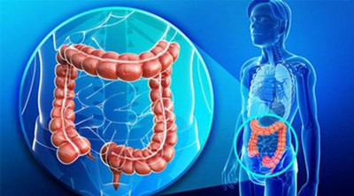 <b>服用瑞戈非尼的生存期是多长？</b>