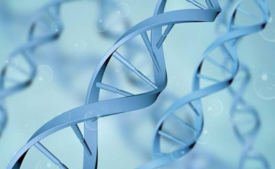 <b>印度瑞戈非尼从哪儿可以买到？</b>