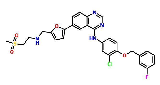 <b>什么情况下需要停用拉帕替尼？</b>