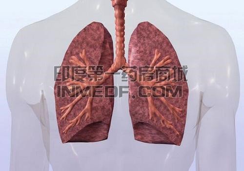 艾乐替尼 艾乐替尼