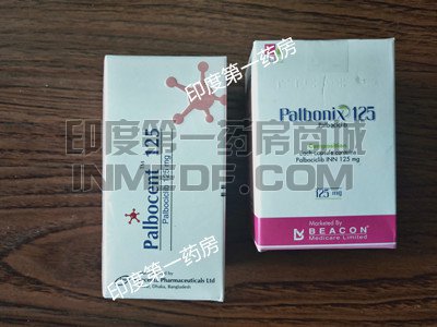 在印度买孟加拉帕博西尼要多少钱