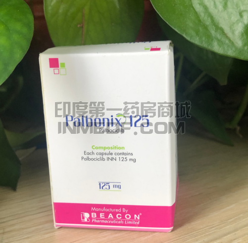 帕博西尼\Palbonix
