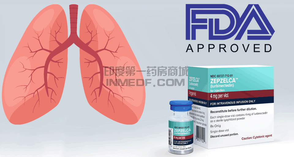 小细胞肺癌鲁比卡丁有哪些副作用