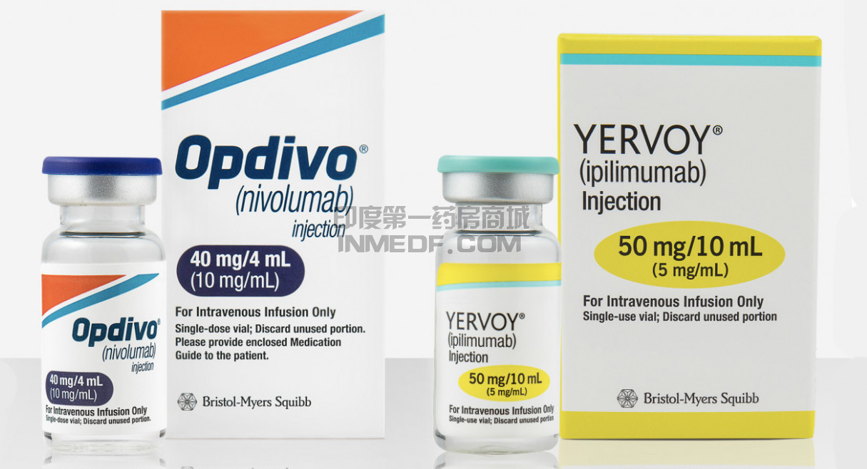 伊匹木单抗、纳武单抗