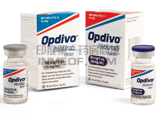 2020年,非,小细胞,肺癌,的,免疫,治疗,药物,