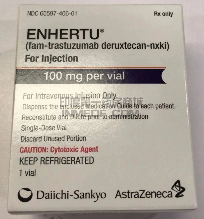 enhertu\（ADC）治疗HER2阳性胃癌