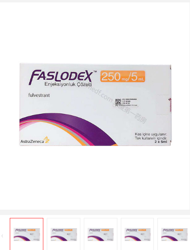 印度氟维司群\FASLODEX的作用机制