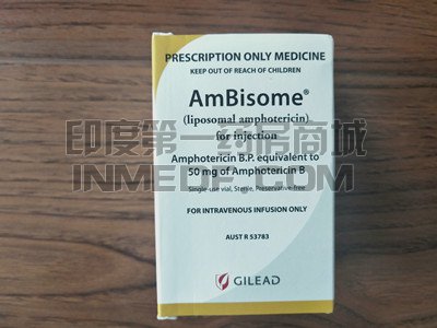 患者如何使用安必素（AmBisome）治疗？