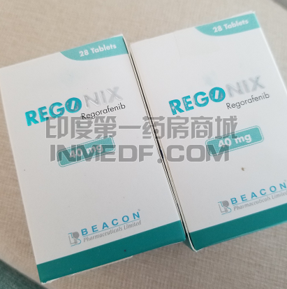 REGONIX是哪个国家的？
