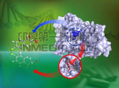 四氢生物蝶呤缺乏症