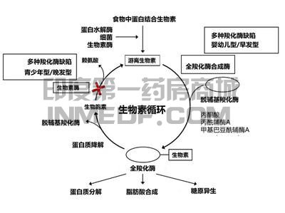 生物素酶缺乏症