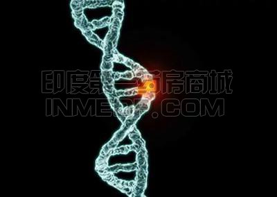 原发性遗传性肌张力不全