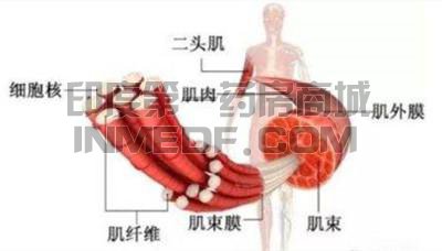 杜氏肌营养不良症