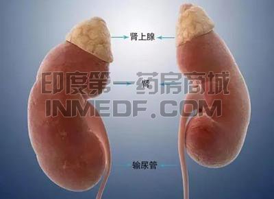 先天性肾上腺发育不良