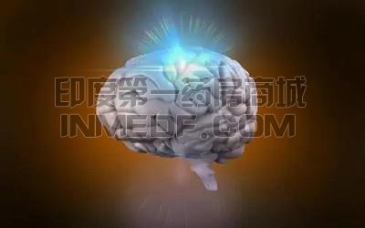 遗传性多发脑梗死性痴呆