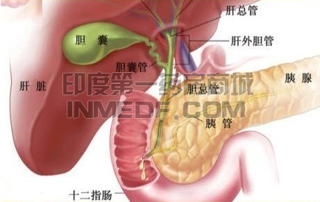 肿瘤标记物，癌抗原50（CA50）代