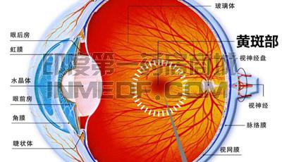 原发性视网膜色素变性
