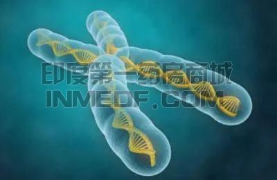 进行性肌营养不良