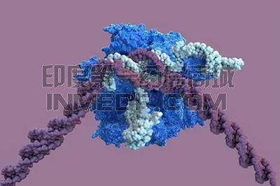 原发性肉碱缺乏症