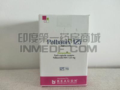 碧康palbonix125哪里可以买？