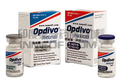 纳武利尤单抗什么时候进入医保？