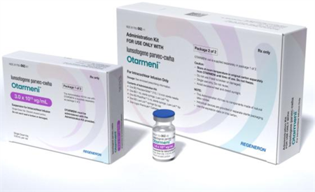Otarmeni,基因疗法,听力损失